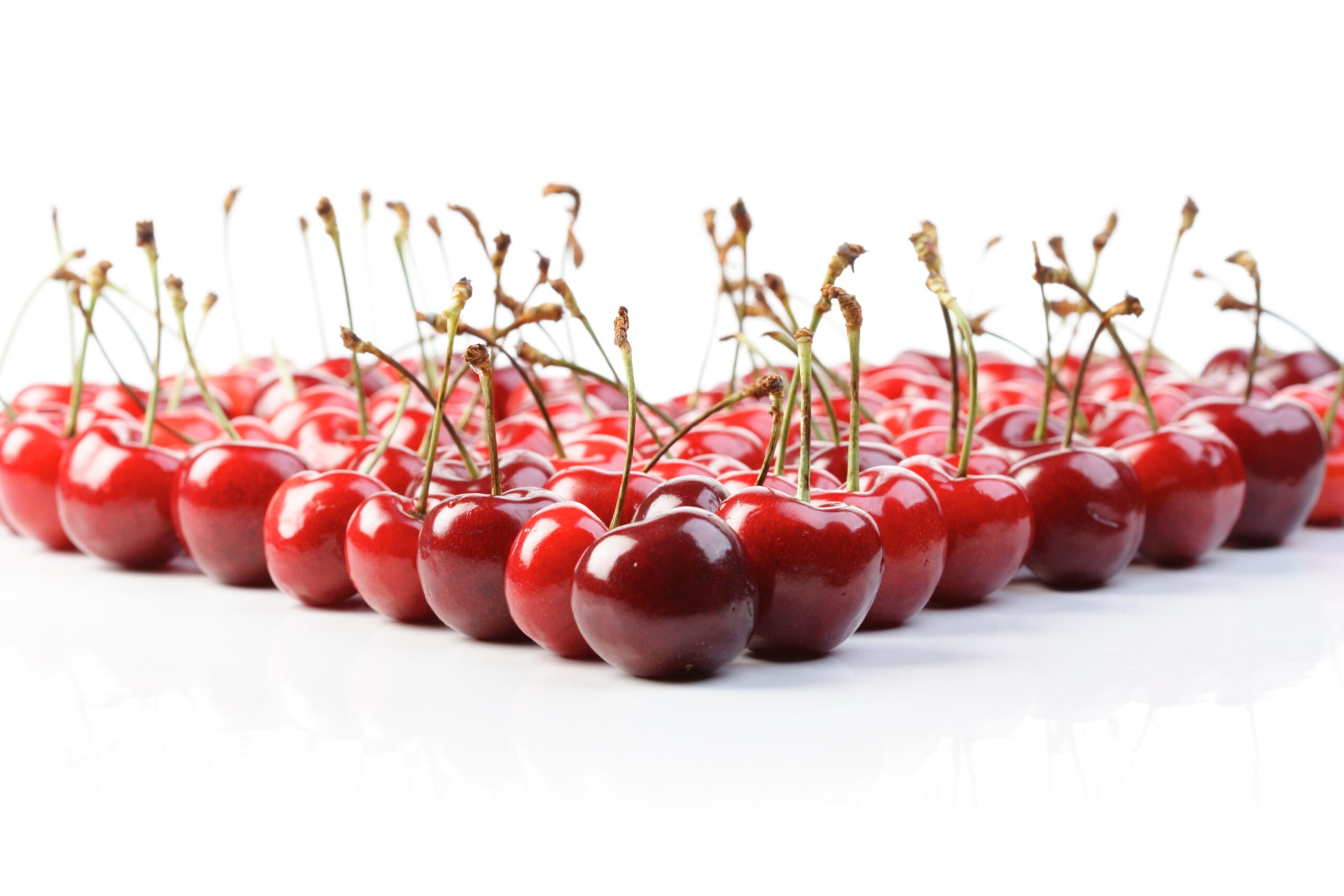 Cherries on white background – studio shot Cherries on white background - studio shot