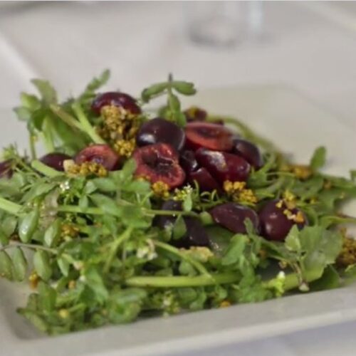 Northwest sweet cherries, wild arugula & lamb's quarter spinach with a roasted pistachio vinaigrette.