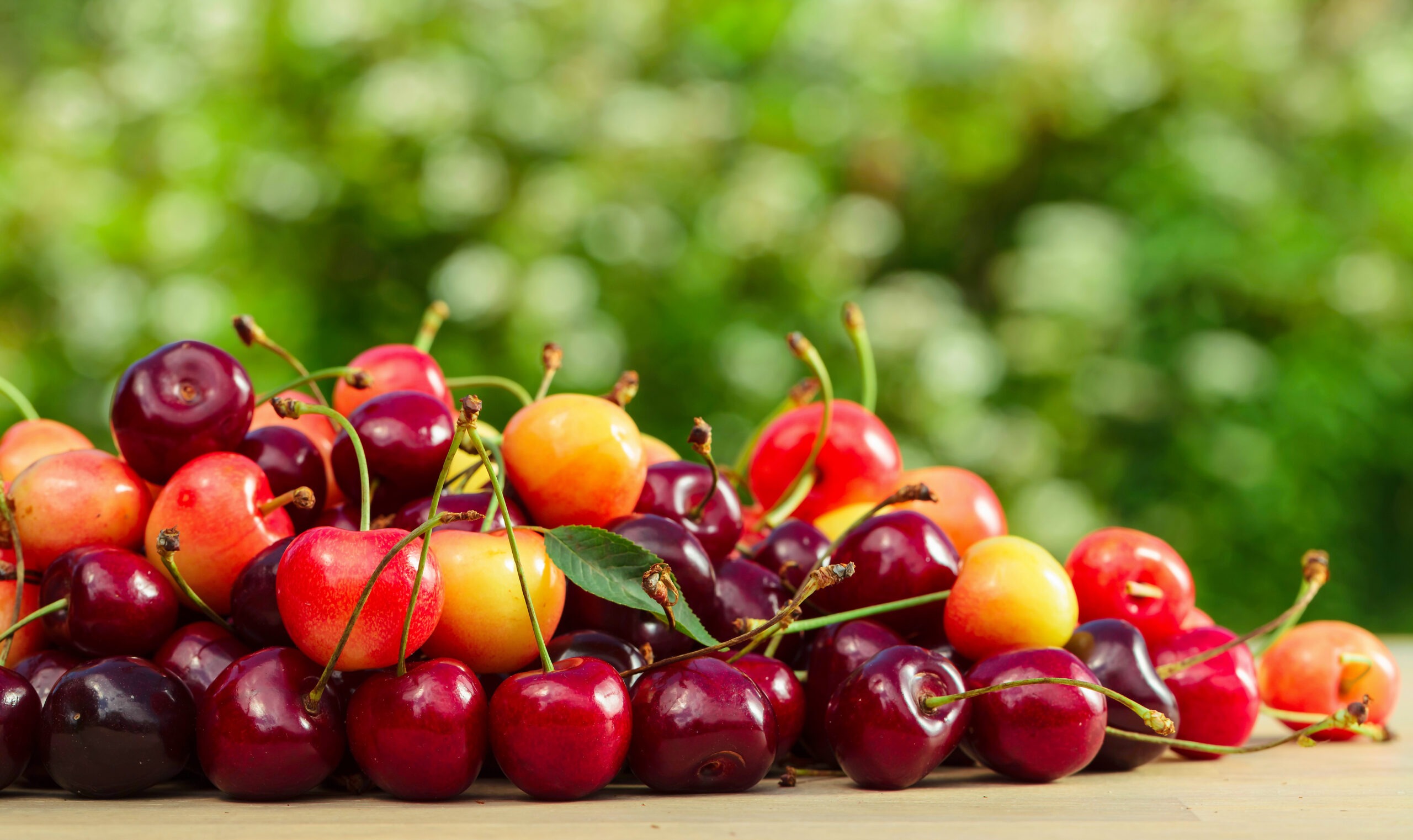 Juicy sweet cherries on a wooden table in garden.