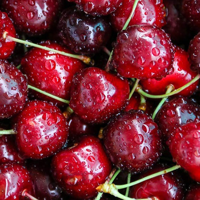 red cherries with water droplets