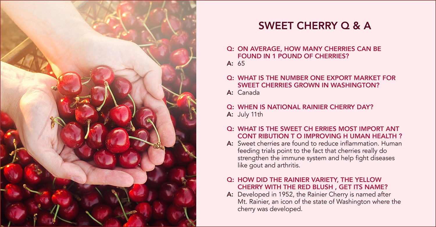 female hands holding cherries over a bulk cherry bin