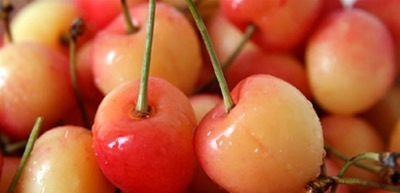 Yellow cherries in the tree