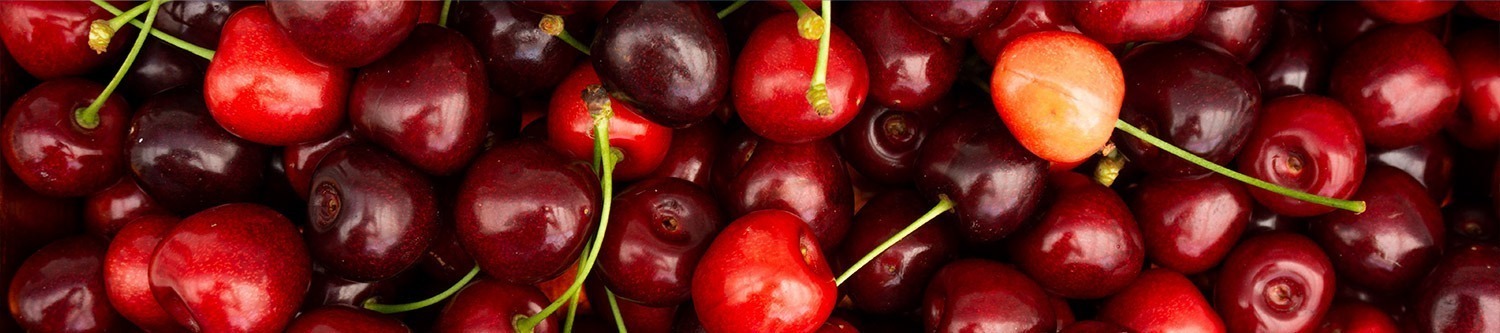 fresh cherries