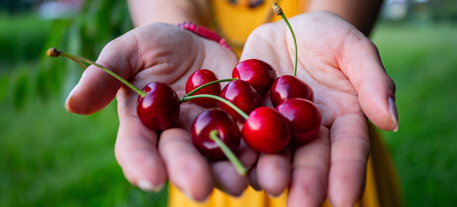 2026 spring home header