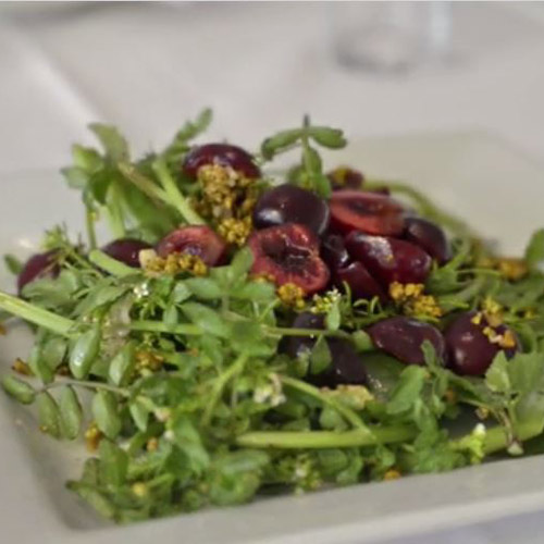 recipe salad lamb arugala thumb